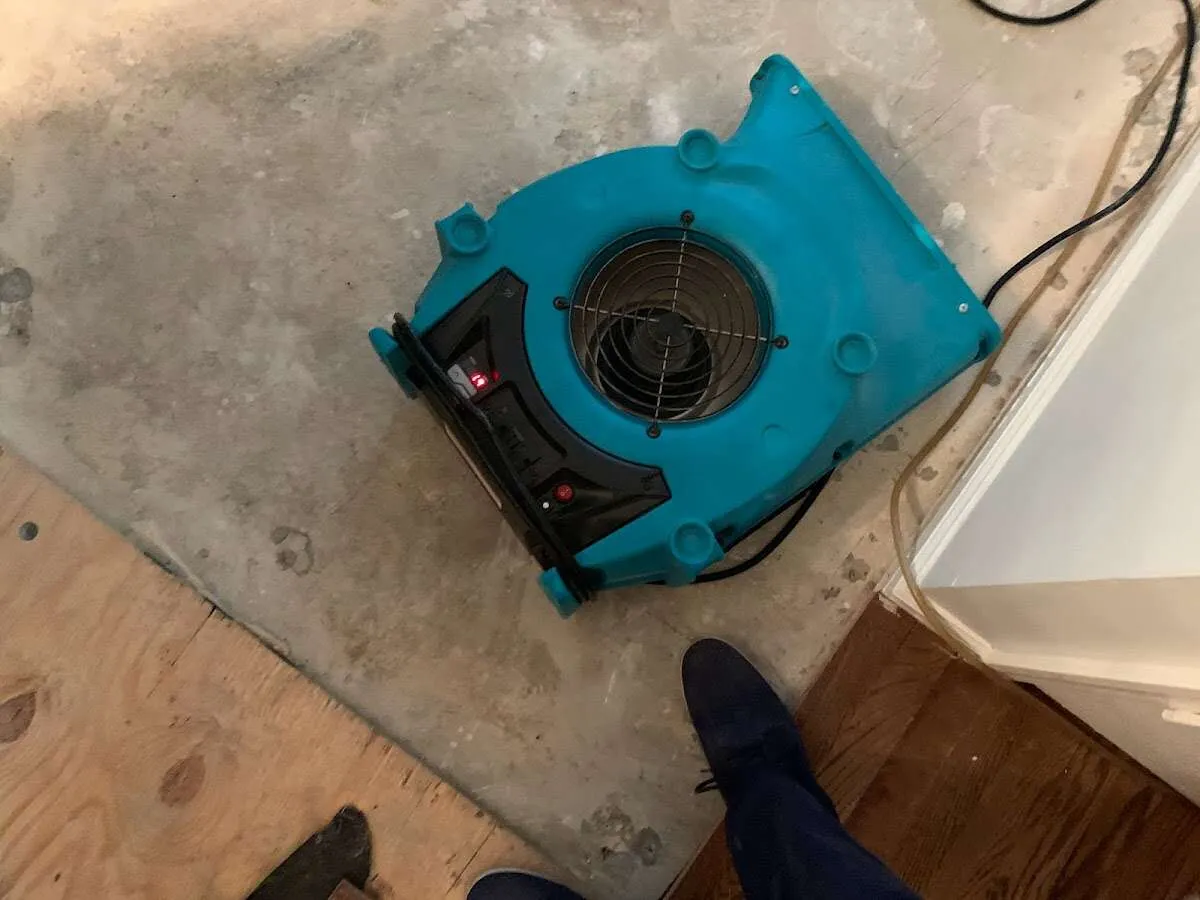 Air mover drying subfloor during Leak Detection & Repair in Carver